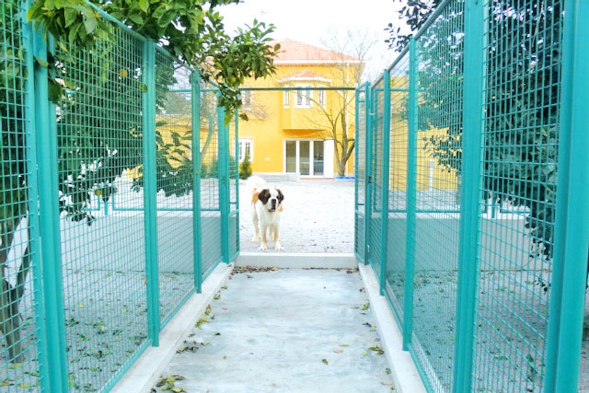 11 hotéis onde pode deixar os seus animais de estimação | Unibanco